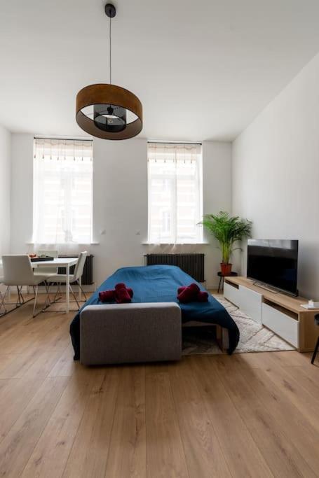 Le Solfe -Magnifique T2 Apartment Lille Ngoại thất bức ảnh